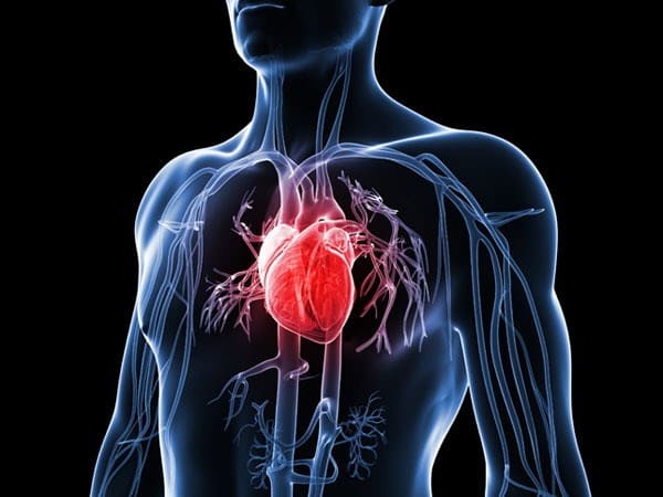 Nhảy dây giúp tăng cường sức khỏe tim mạch