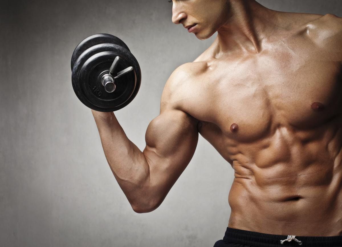 Fitness tăng sức mạnh và sức bền cơ bắp