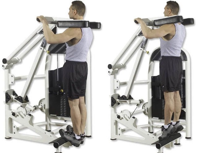 Động tác Standing Calf Raise