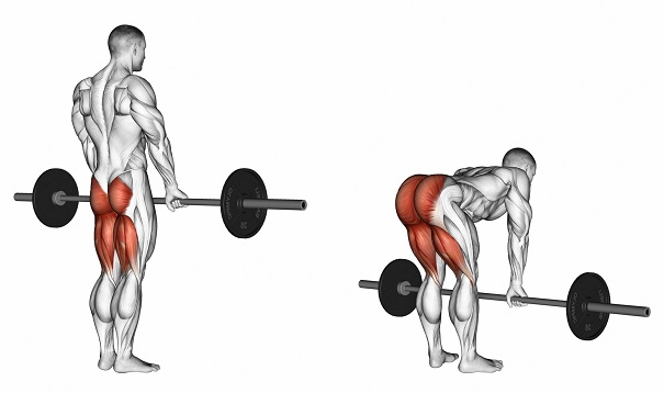 Hạ tạ từ từ dần dần, sau đó kiểm soát đầu gối khi thanh tạ đi xuống