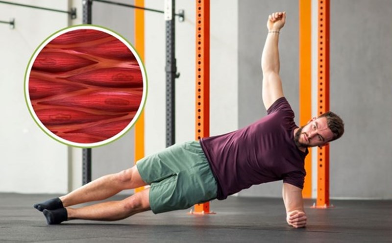 Bài tập Plank nghiêng