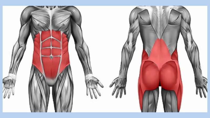 Siết cơ đúng cách giúp tăng khả năng ổn định vùng core