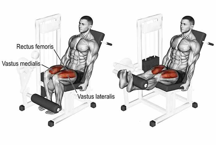 Bài tập Drop Set với Leg Extension