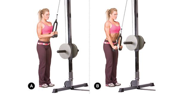 Bài tập Triceps pressdown