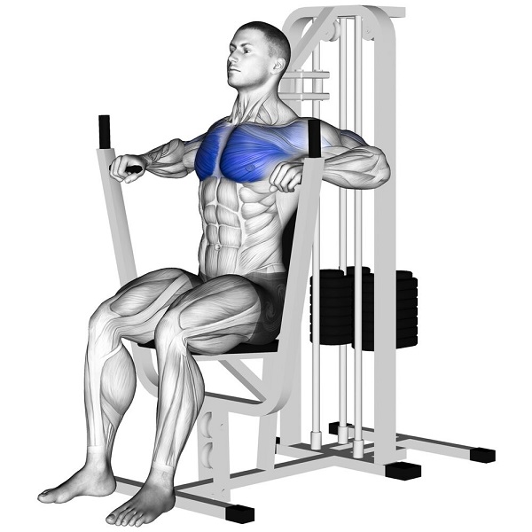 Bài tập ngực (Chest press)