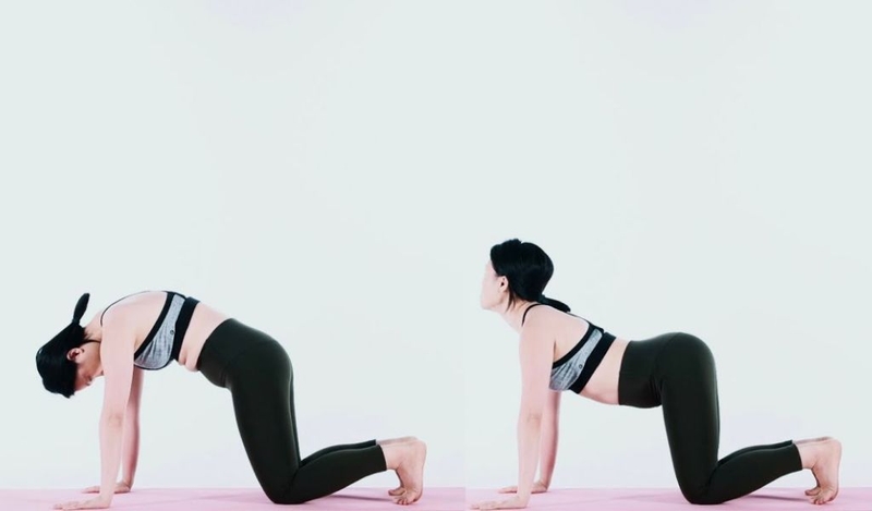 Tư thế con mèo thường xuất hiện trong các bài tập yoga và vận động linh hoạt cột sống