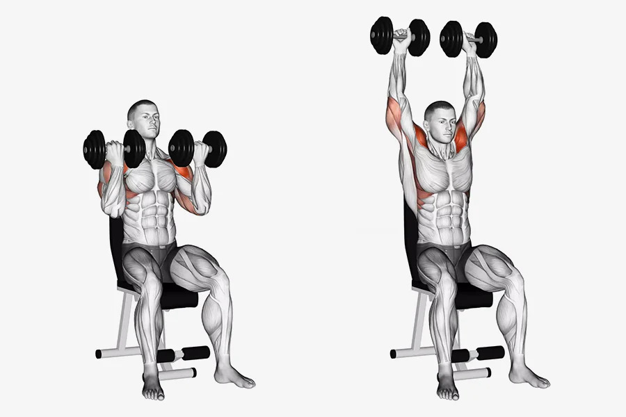 Bài tập Arnold Press