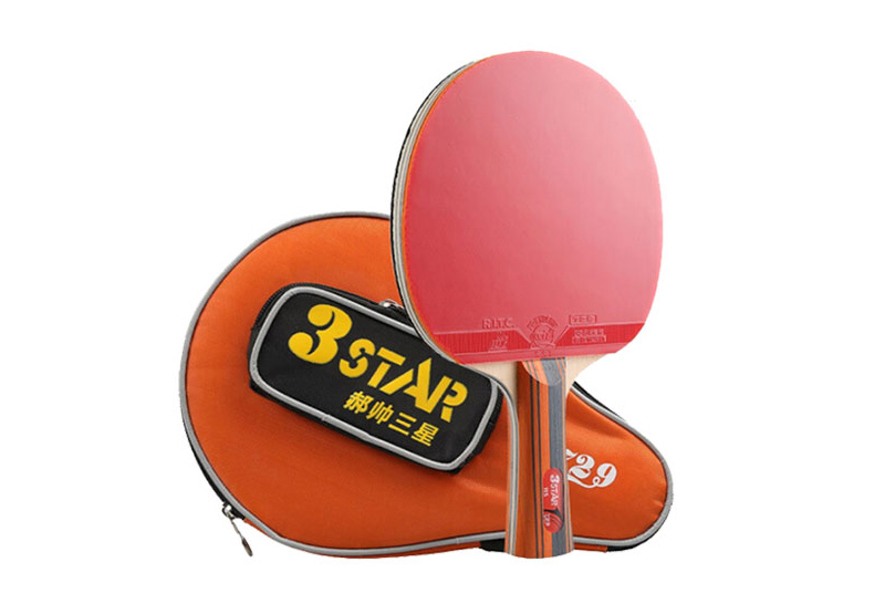 Vợt bóng bàn 729 3 Star