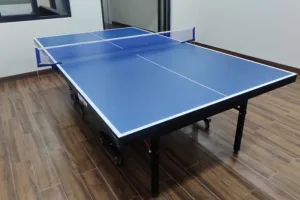 Bàn bóng bàn Thiên Trường PT-05