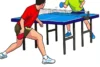 kiến thức Môn bóng bàn