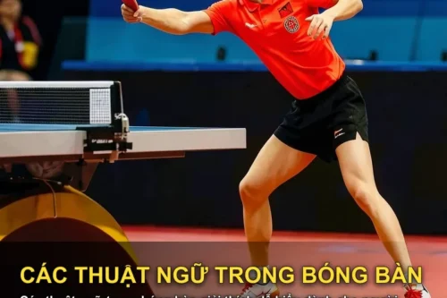 Các thuật ngữ trong bóng bàn giải thích dễ hiểu dành cho người